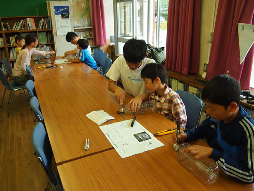 f:id:Naturalhistory:20130915101209j:image