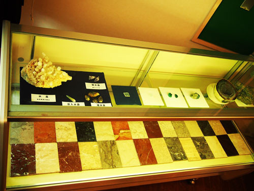 f:id:Naturalhistory:20130916155532j:image