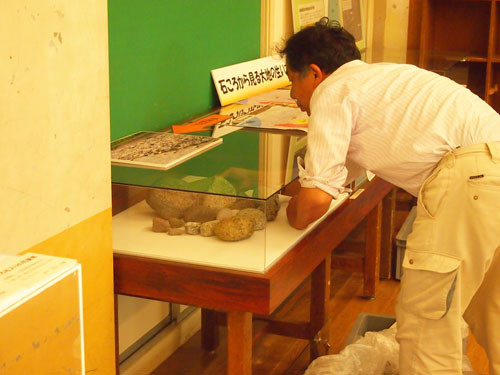 f:id:Naturalhistory:20130916155621j:image