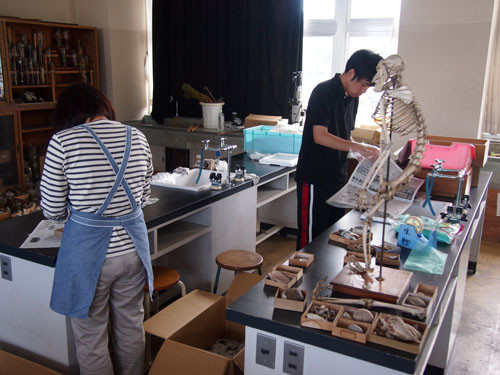 f:id:Naturalhistory:20130925114046j:image