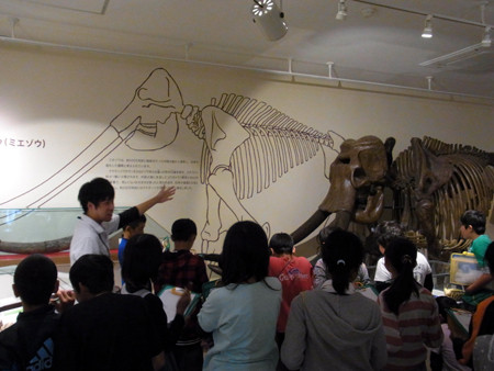 f:id:Naturalhistory:20130926140020j:image