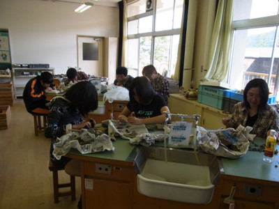 f:id:Naturalhistory:20130928144400j:image