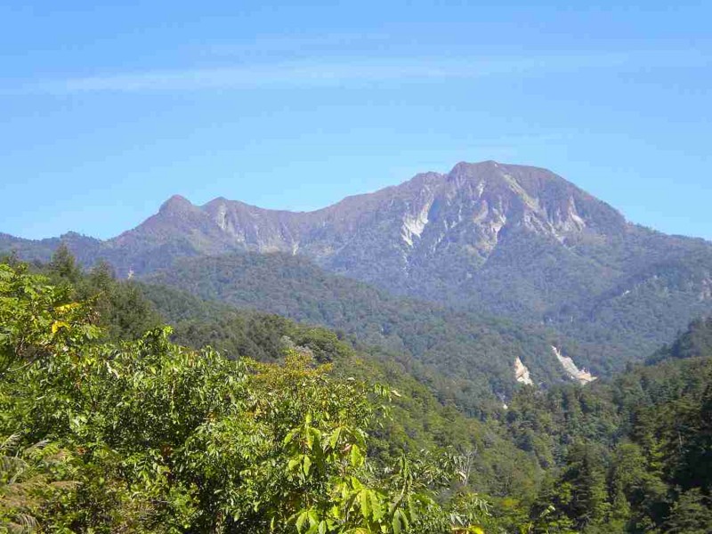 f:id:Naturalhistory:20130930114045j:image