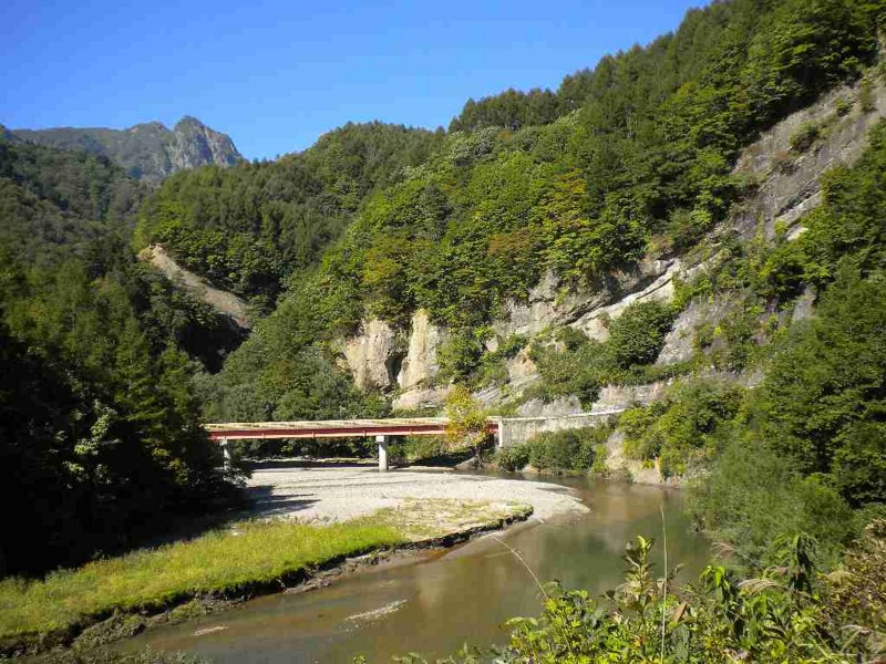 f:id:Naturalhistory:20130930133423j:image