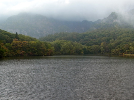 f:id:Naturalhistory:20131002154736j:image
