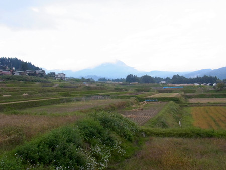 f:id:Naturalhistory:20131002162125j:image
