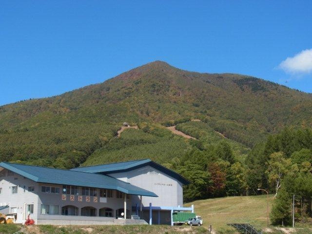 f:id:Naturalhistory:20131008182129j:image