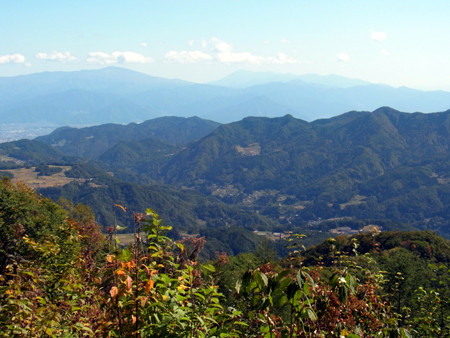 f:id:Naturalhistory:20131013122014j:image