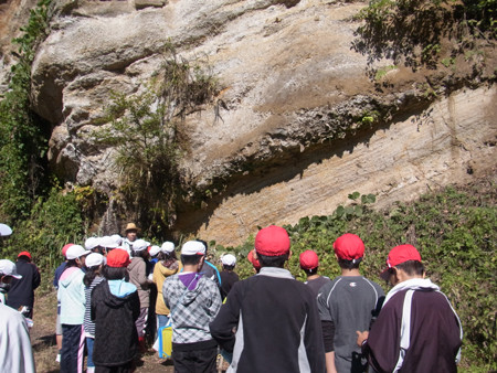 f:id:Naturalhistory:20131018113439j:image