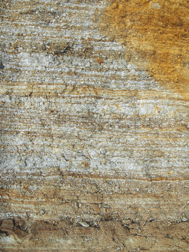 f:id:Naturalhistory:20131019165827g:image f:id:Naturalhistory:20131019165827g:image