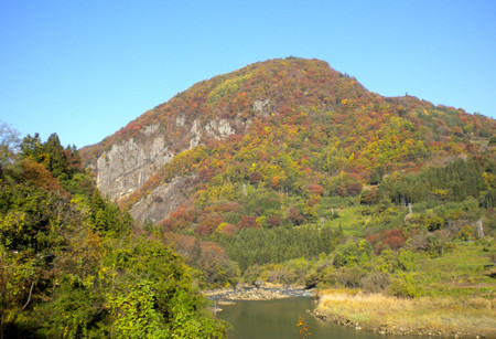 f:id:Naturalhistory:20131109091700j:image