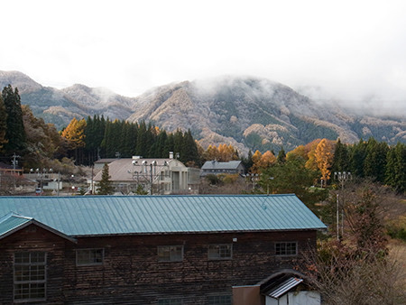 f:id:Naturalhistory:20131112083043j:image