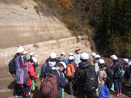 f:id:Naturalhistory:20131114114305j:image f:id:Naturalhistory:20131114114305j:image