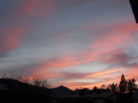 f:id:Naturalhistory:20131114165222j:image f:id:Naturalhistory:20131114165222j:image