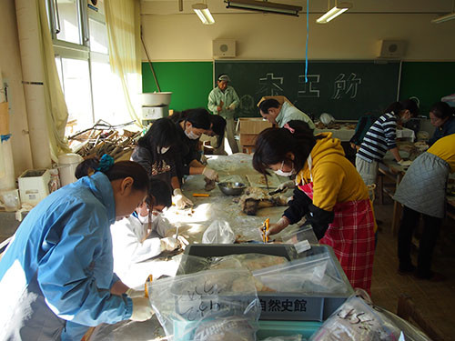 f:id:Naturalhistory:20131117100712j:image