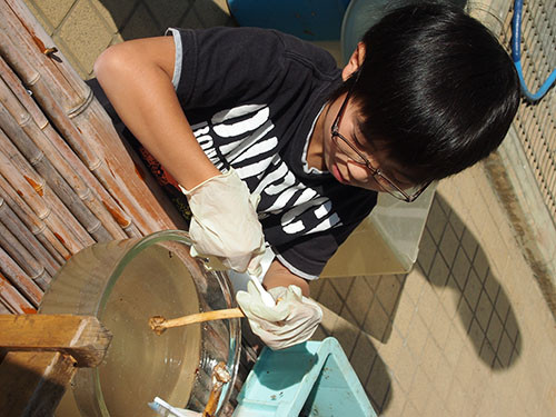 f:id:Naturalhistory:20131117101029j:image