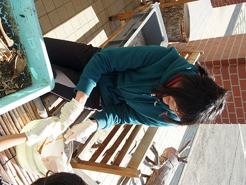 f:id:Naturalhistory:20131117101048j:image