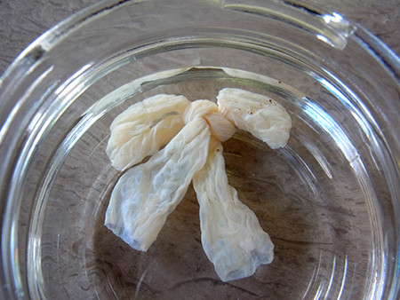 f:id:Naturalhistory:20131122144934j:image