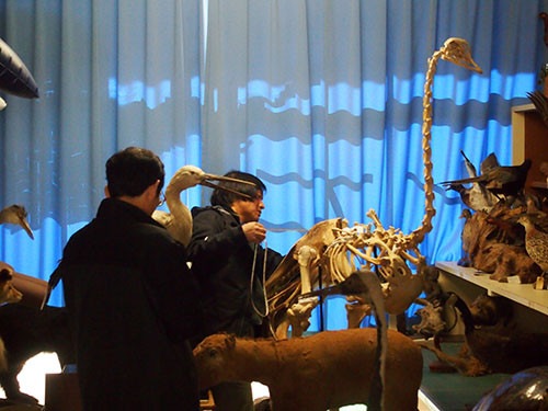 f:id:Naturalhistory:20131128113404j:image f:id:Naturalhistory:20131128113404j:image