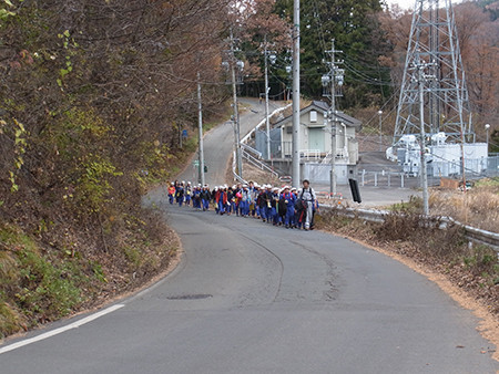 f:id:Naturalhistory:20131129121339j:image