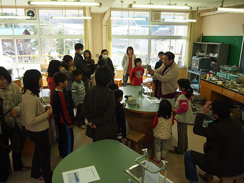 f:id:Naturalhistory:20131201131108j:image
