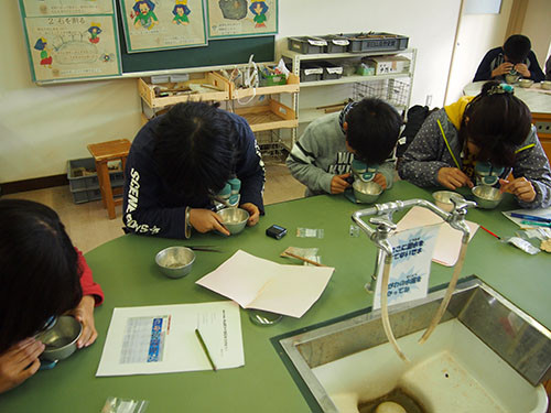 f:id:Naturalhistory:20131201142825j:image