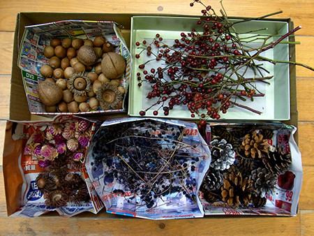 f:id:Naturalhistory:20131204170115j:image