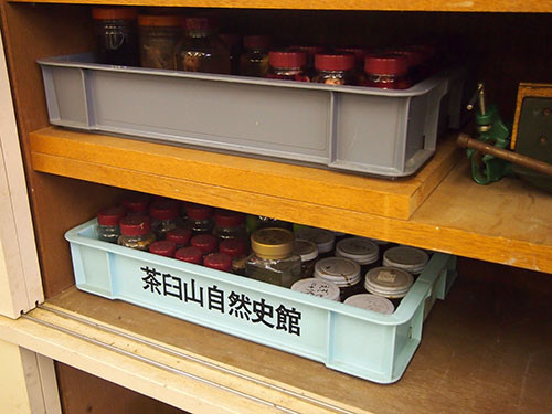 f:id:Naturalhistory:20131206161815j:image