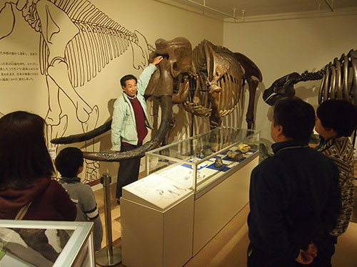 f:id:Naturalhistory:20131207132626j:image