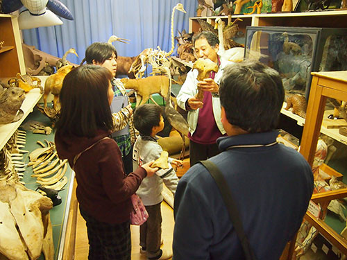 f:id:Naturalhistory:20131207134101j:image