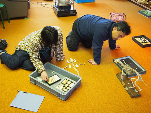 f:id:Naturalhistory:20131207142437j:image