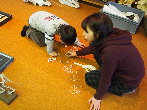 f:id:Naturalhistory:20131207142445j:image