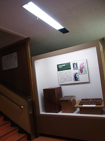 f:id:Naturalhistory:20131211105907j:image f:id:Naturalhistory:20131211105907j:image