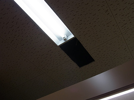 f:id:Naturalhistory:20131211105918j:image f:id:Naturalhistory:20131211105918j:image