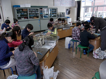 f:id:Naturalhistory:20131218110549j:image