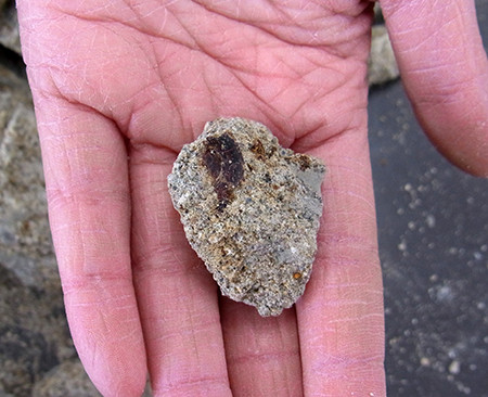 f:id:Naturalhistory:20131218112553j:image