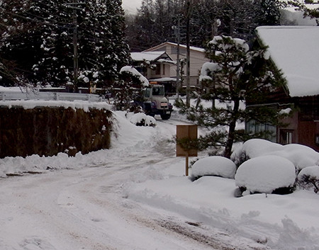 f:id:Naturalhistory:20131221121145j:image