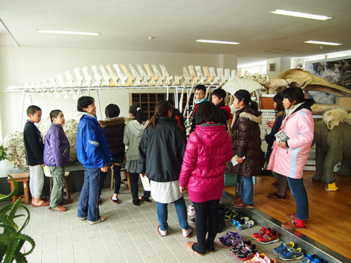 f:id:Naturalhistory:20131226135258j:image f:id:Naturalhistory:20131226135258j:image