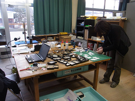f:id:Naturalhistory:20131227161605j:image