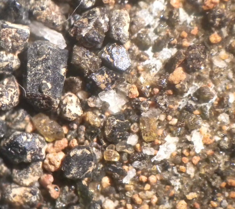 f:id:Naturalhistory:20140117173016j:image:w360