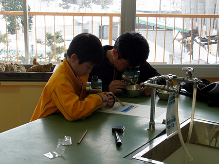 f:id:Naturalhistory:20140126142114j:image