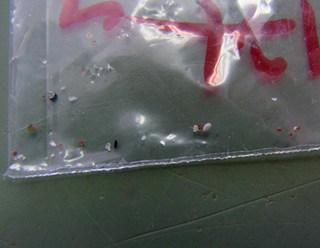 f:id:Naturalhistory:20140126150007j:image