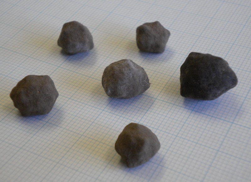 f:id:Naturalhistory:20140406163244j:image