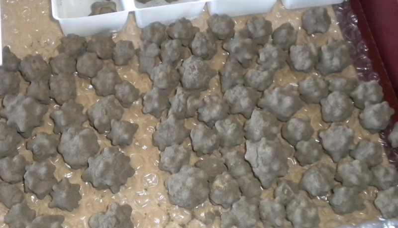 f:id:Naturalhistory:20140406164758j:image