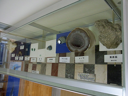 f:id:Naturalhistory:20140409140815j:image