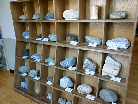 f:id:Naturalhistory:20140409140942j:image