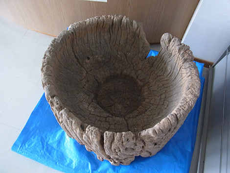 f:id:Naturalhistory:20140415134022j:plain