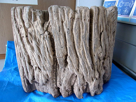 f:id:Naturalhistory:20140415134034j:plain