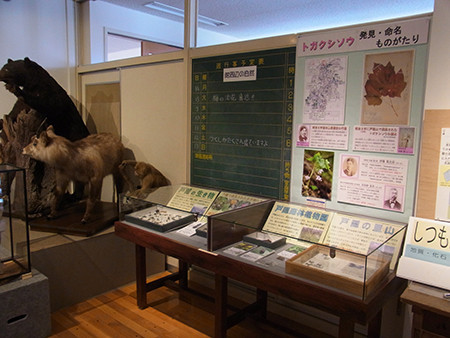 f:id:Naturalhistory:20140415144947j:image