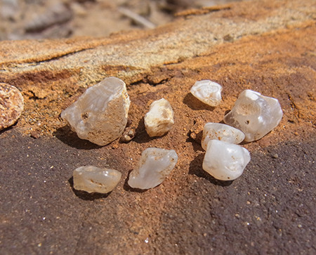 f:id:Naturalhistory:20140417110730j:image f:id:Naturalhistory:20140417110730j:image